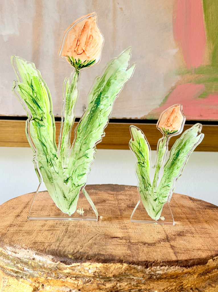 Tulip- Apricot- Ali