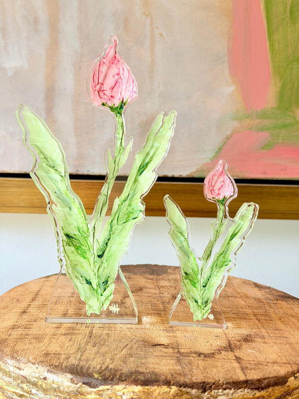 Tulip- Raspberry- Rachel